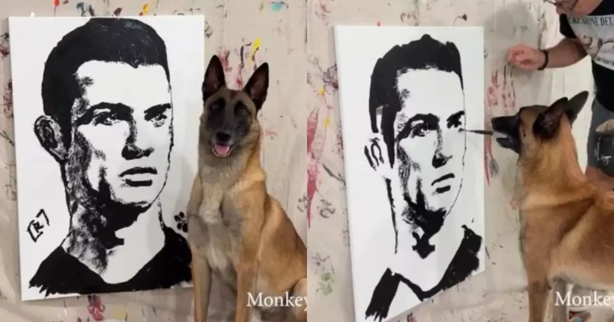 有片！美牧羊犬叼筆聽指示繪出C朗肖像畫 狗界莫內作品叫價最高達2.3萬