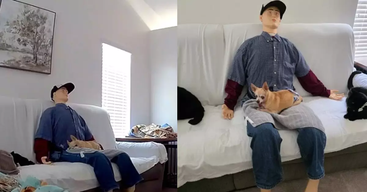 高齡愛犬患「分離焦慮症」 飼主巧思用假人充當家人紓緩助安睡數小時