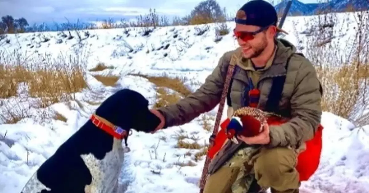 翻車墮山崖重傷難行 美漢獲忠犬陪伴11小時順利爬下山求救脫困