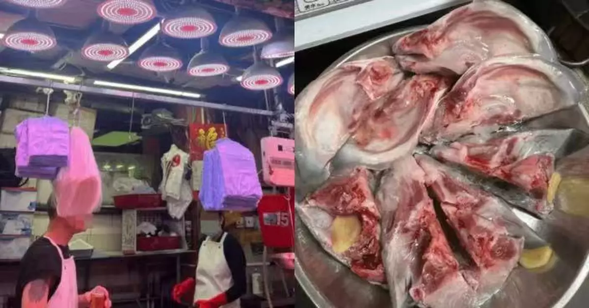 買魚頭驚覺冇「魚雲」 港媽狠批魚販售「科技魚」引網民揭真相