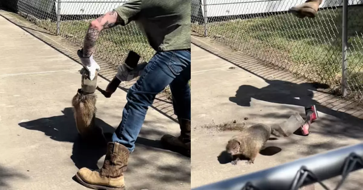 毛茸茸小動物頭卡塑膠罐受困車底 美情侶合力救出驚見真身係「牠」