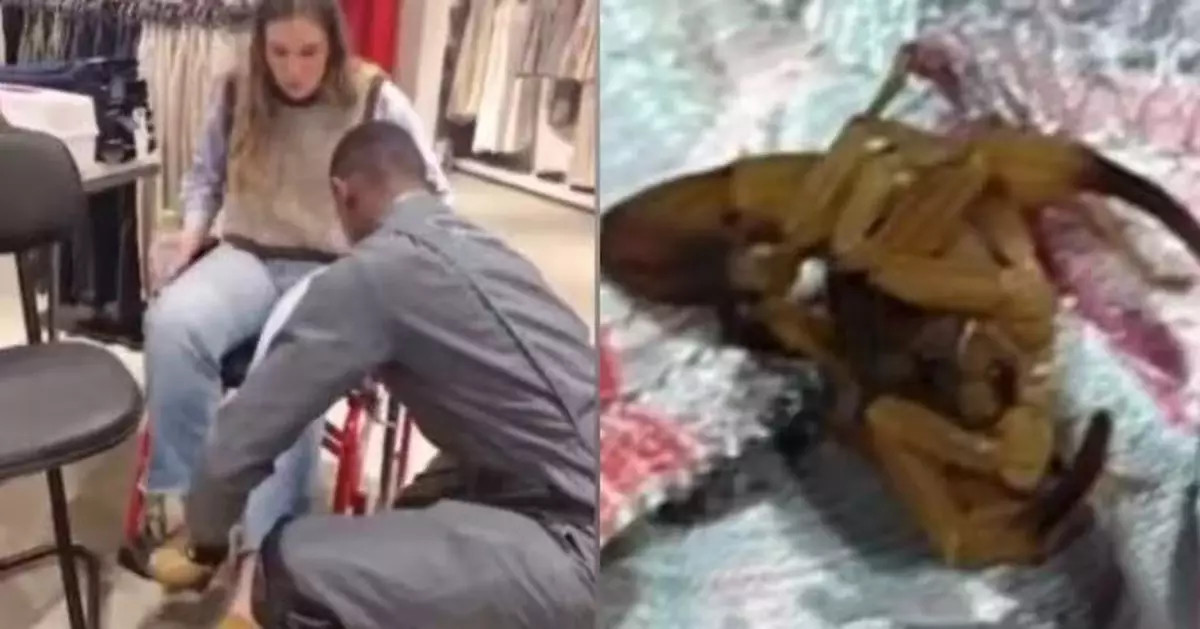 商場試衣遭毒蠍螫傷 巴西女大生頭暈噁心等30分鐘始獲救治