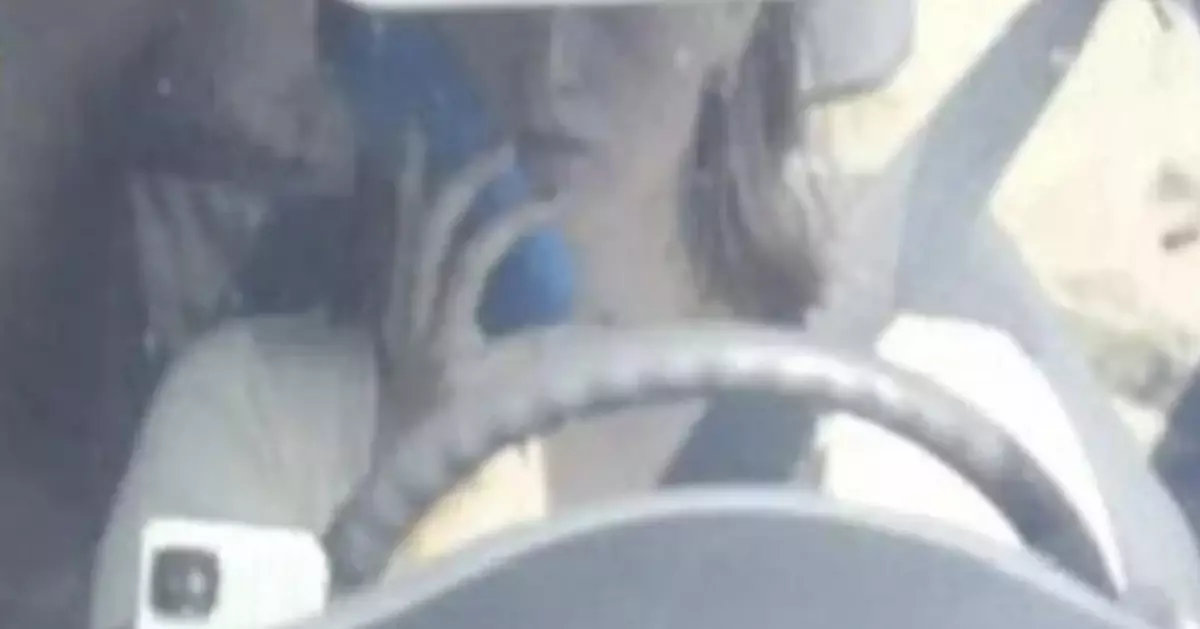 拔智齒臉敷冰袋揸車遭誤認判傾電話 荷蘭女收逾4000「烏龍罰單」