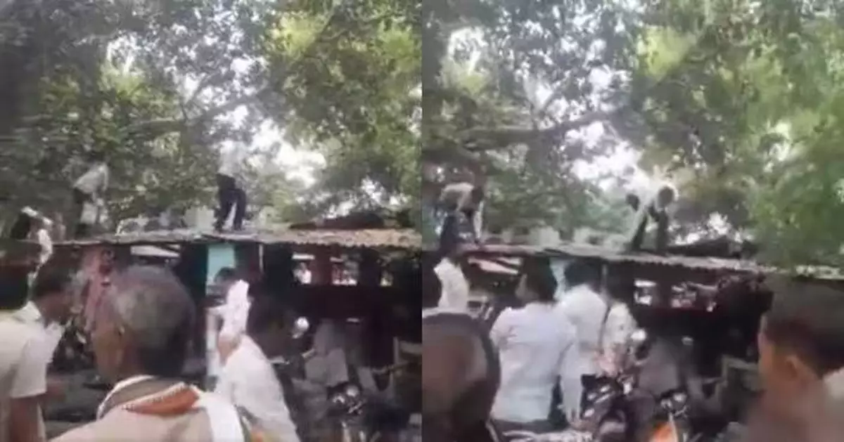 印度馬騮搶走8萬盧比紙鈔竄上樹狂撒引民眾爭搶 混亂場面曝光