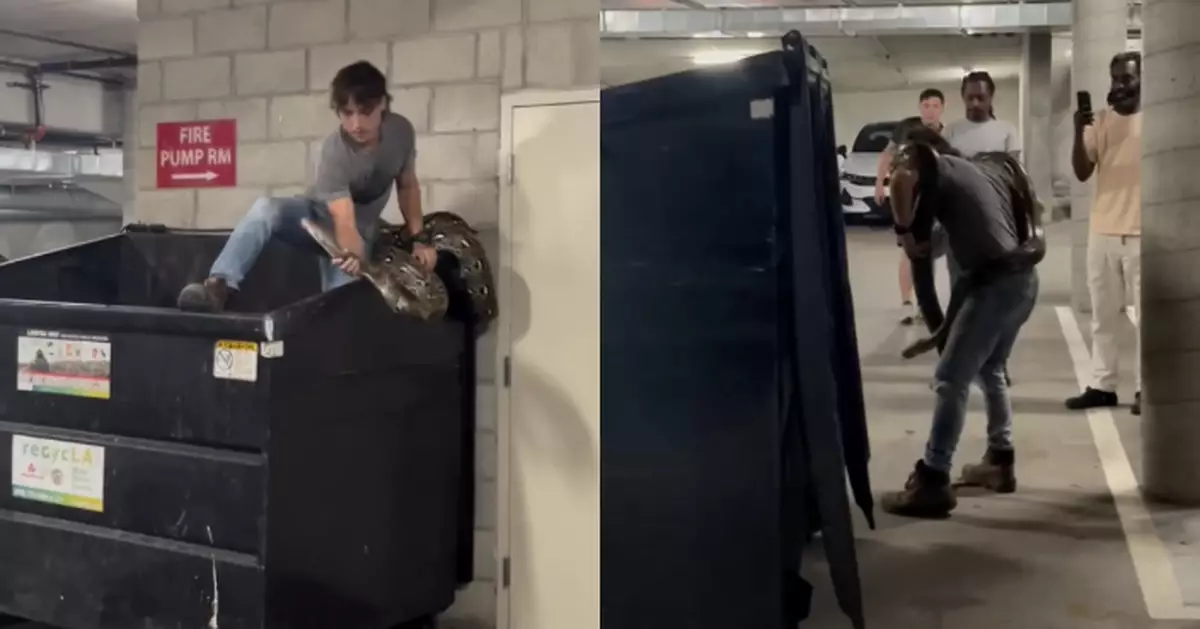 蛇隻遭棄公寓垃圾桶 美住戶誤認玩具見識郁驚覺係6米長巨蟒急報警