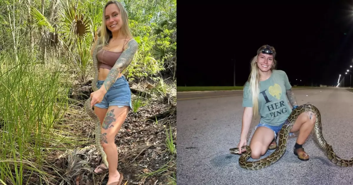 10日捕獲60條緬甸蟒 美國150CM嬌小女獵手奪挑戰賽總冠軍贏7.8萬獎金