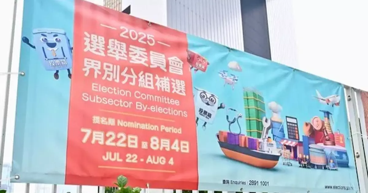 選委會補選100候選人及10被提名人 獲候選人資格審查委員會裁定有效