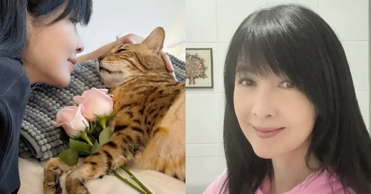 周慧敏慢慢走出喪貓之痛 繼續勇敢去愛：我仍會繼續做好貓媽媽的角色