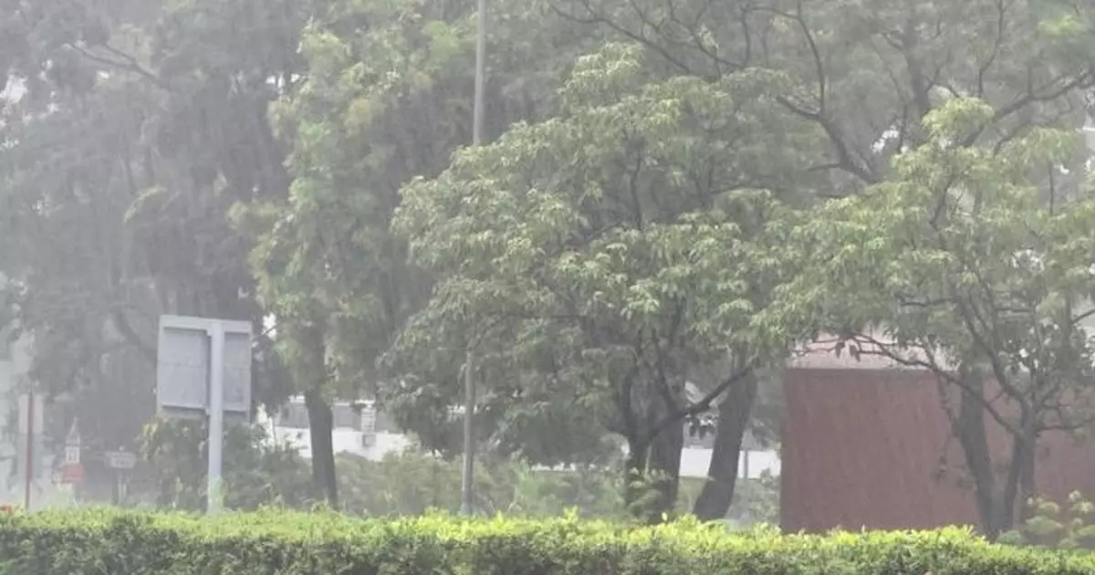 天氣｜天文台︰港島南雨量逾200毫米 或引發山泥傾瀉