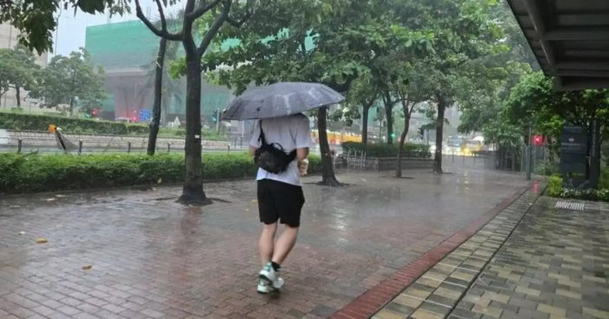 風暴樺加沙 | 天文台局部地區大雨提示　西貢大埔新界北雨勢特別大