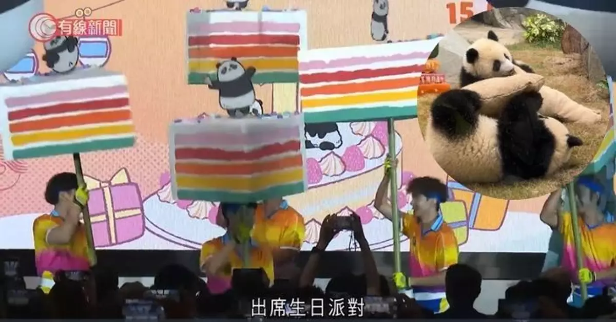 大熊貓龍鳳胎「加加」「得得」一歲生日　海洋公園：會將成長片段製成電影