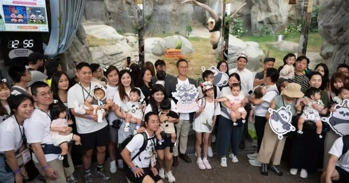 海洋公園首7月入場人次增兩成　冀「家姐細佬」吸引市民暑假黃金檔入場