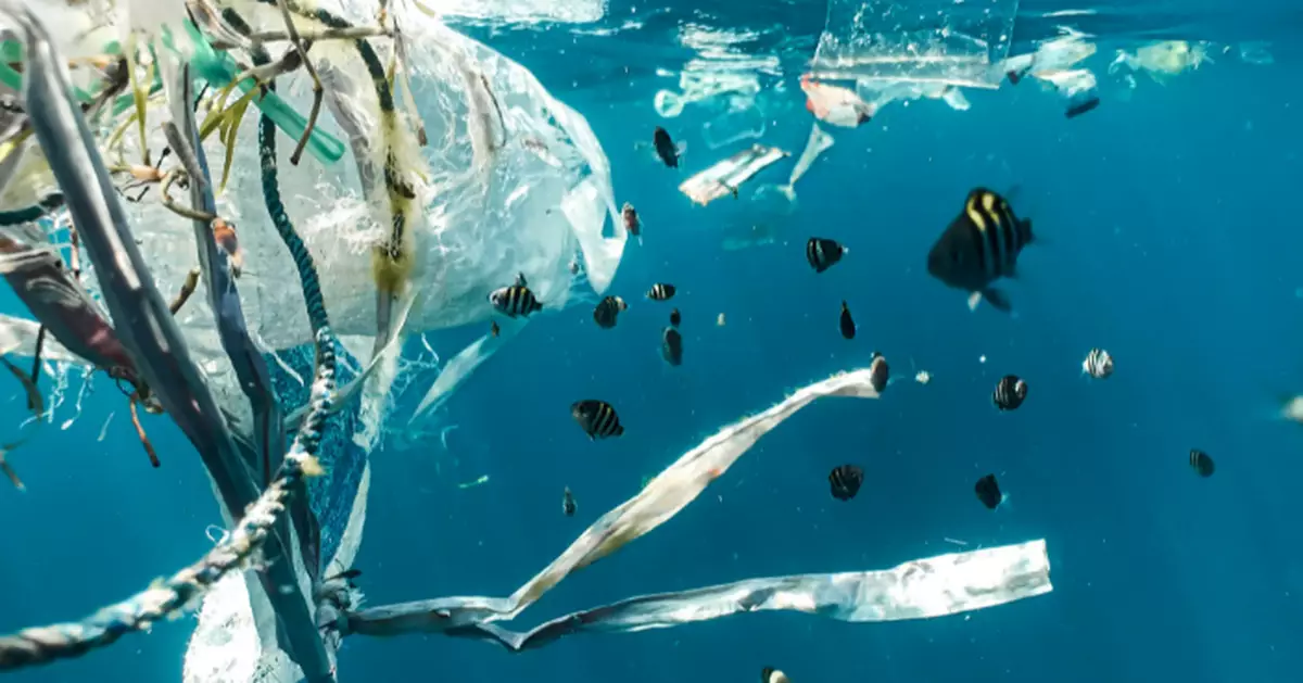 瑞士研究揭野生動物糞便含微塑膠 專家警告：污染程度超預期