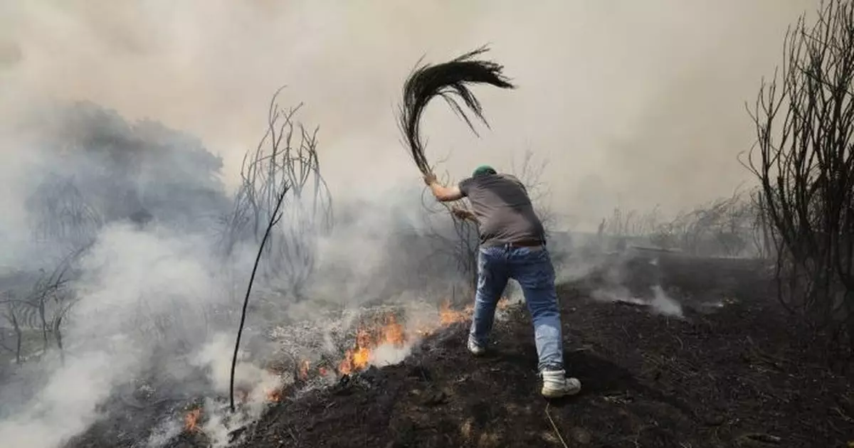 西班牙各地發生20宗山火　政府增派5百名軍人支援