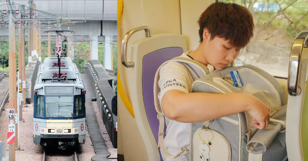 港鐵周末及假日「貓狗同行」搭輕鐵9月恆常化