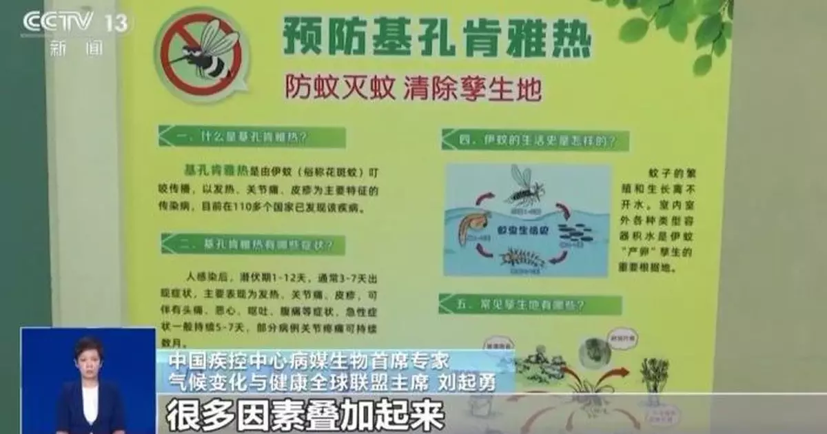 基孔肯雅熱 | 廣東過去一周增336宗本地個案