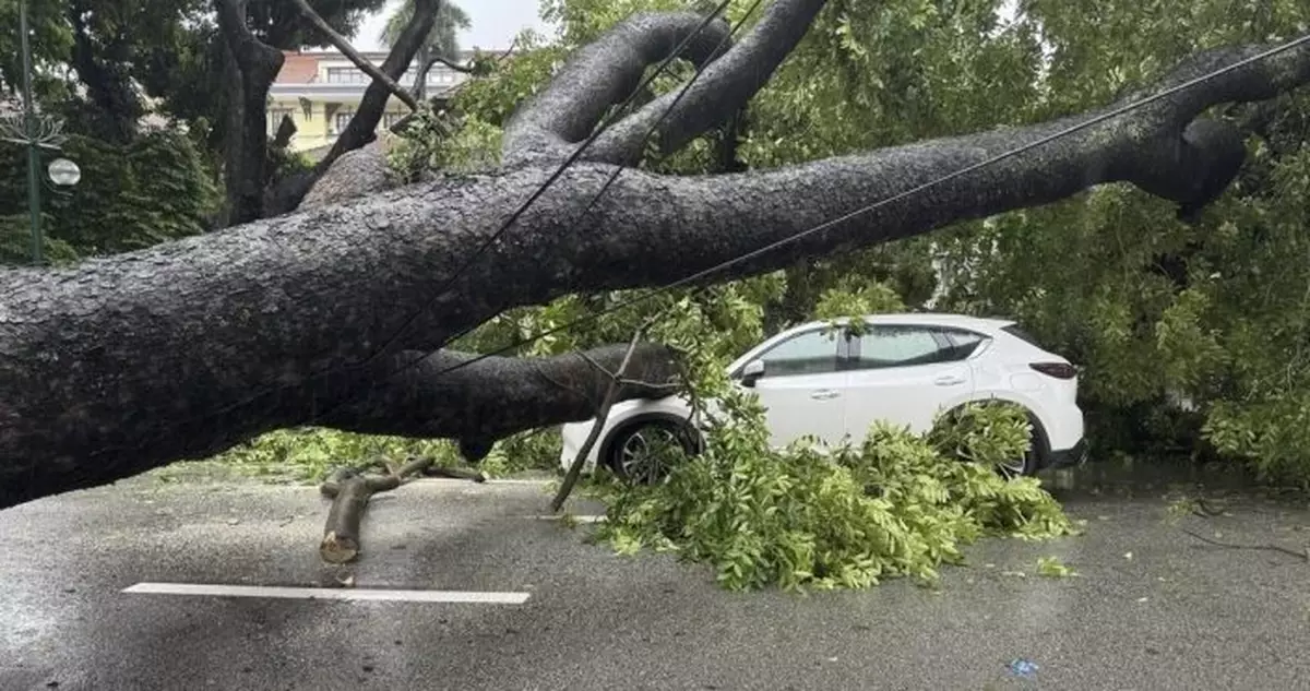 越南遭劍魚吹襲造成7死 多地成災近160萬戶停電