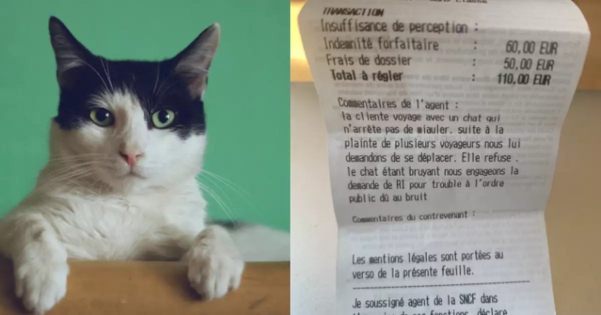 離奇罰單！帶貓搭法國火車因太吵被罰千蚊？鐵路公司咁解釋