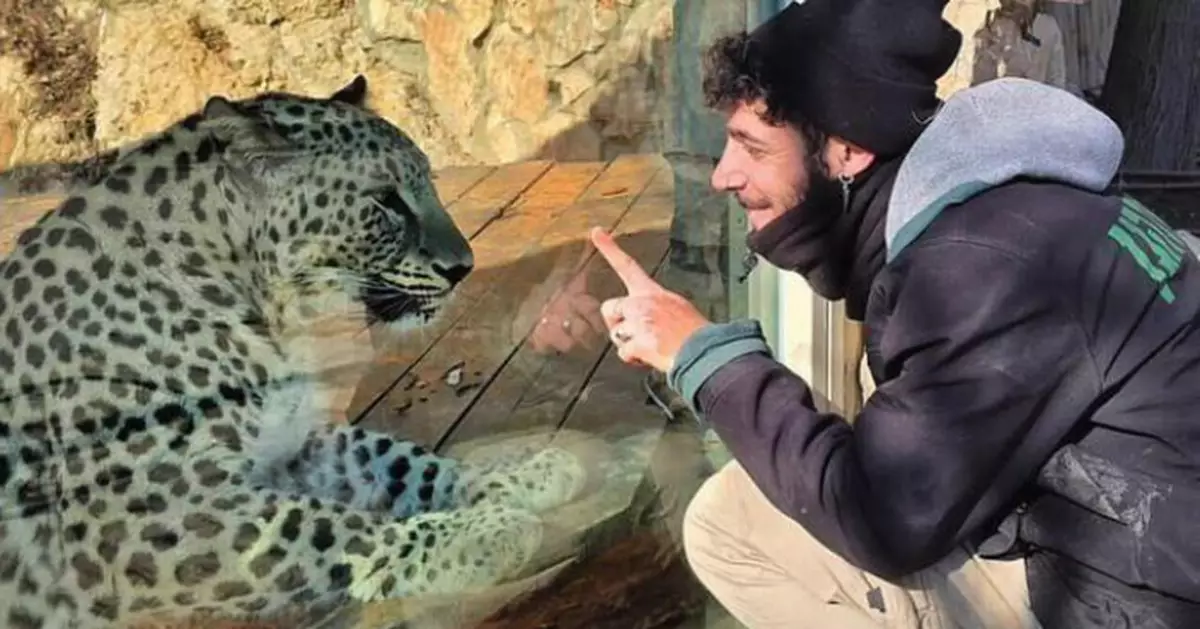 ​​耶路撒冷動物園致命意外！工作人員遭逃豹攻擊 頸部大出血不治身亡​​