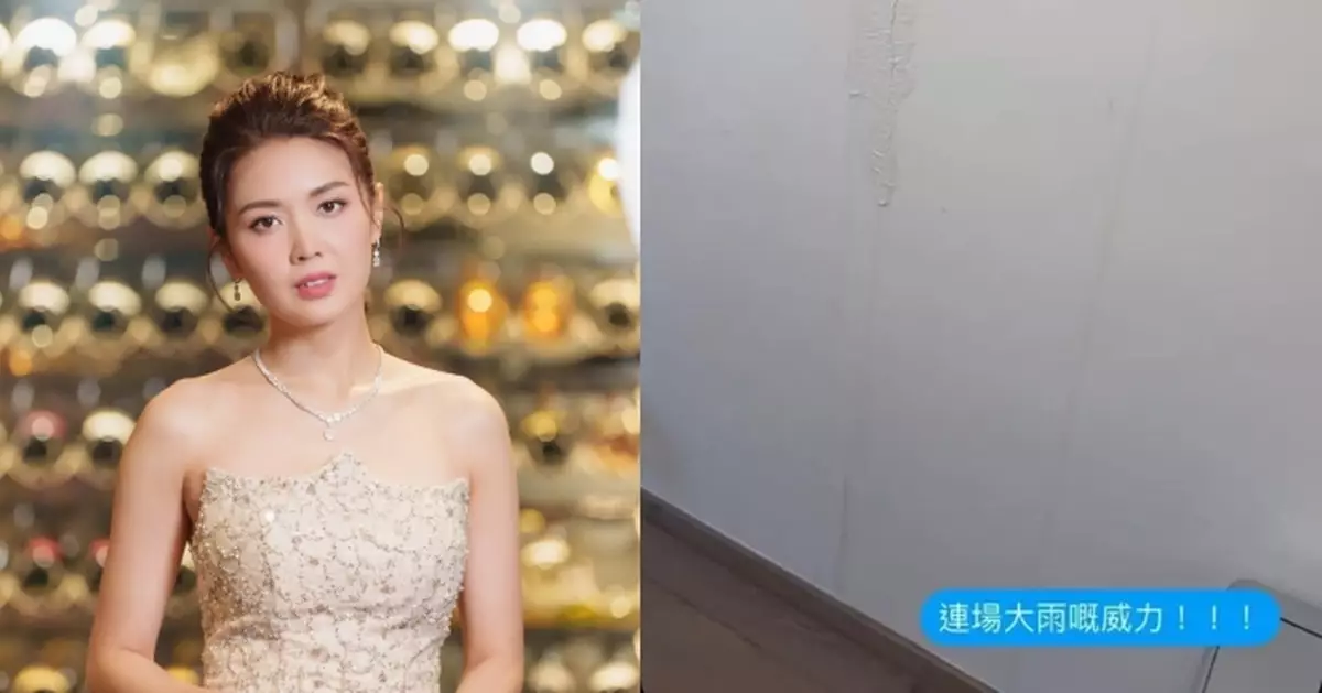 陳庭欣九肚山獨立屋漏水:木地板牆身都出事!