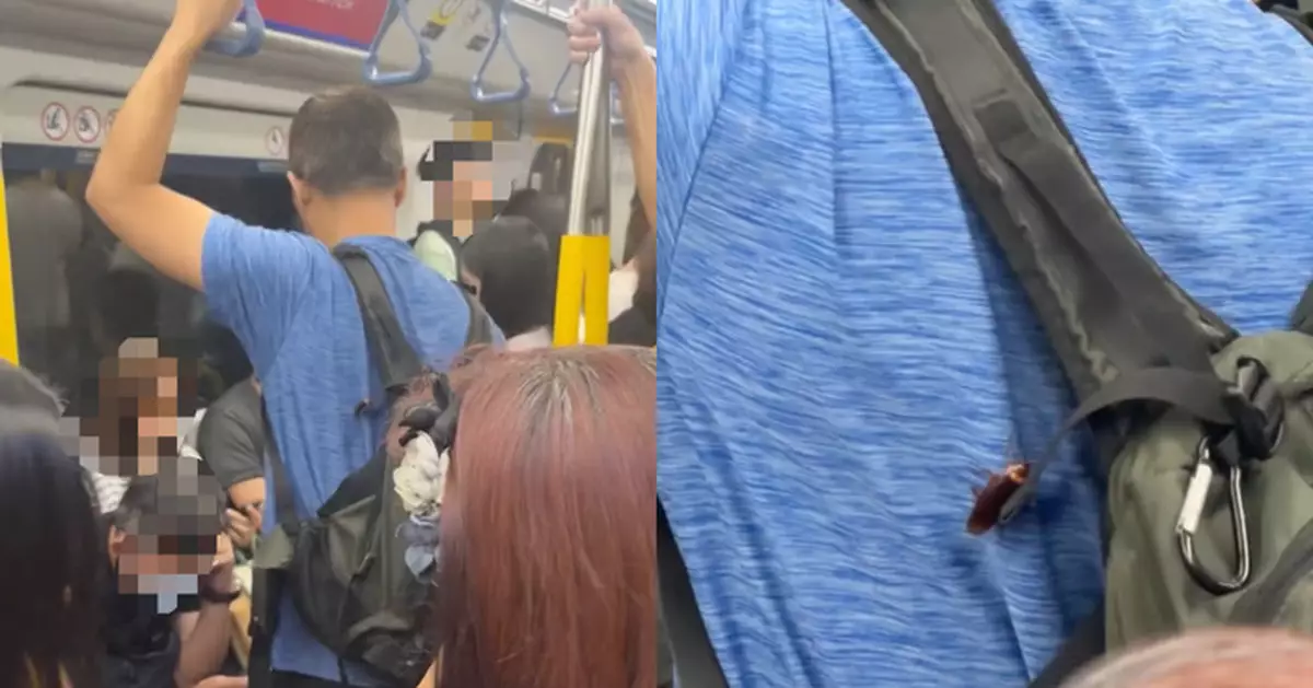 港鐵阿叔衣服驚現蟑螂 附近乘客保持距離 目擊者笑：寵物免費搭車？