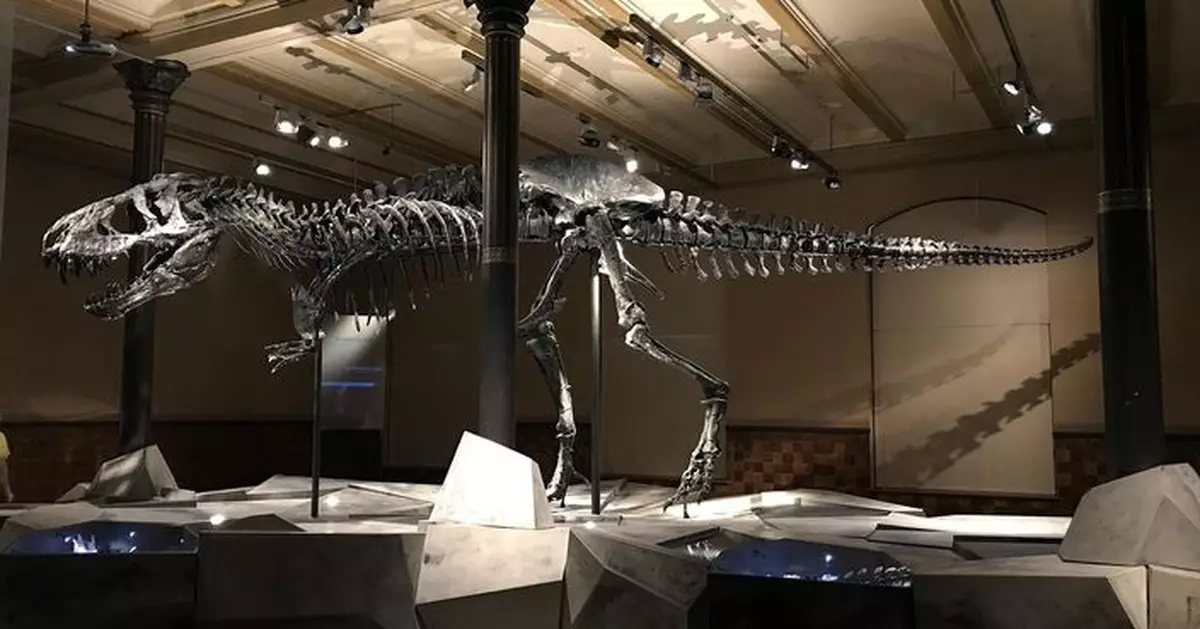 憑牙齒找到證據 最新研究揭巨型草食恐龍「各吃各的」得以共存