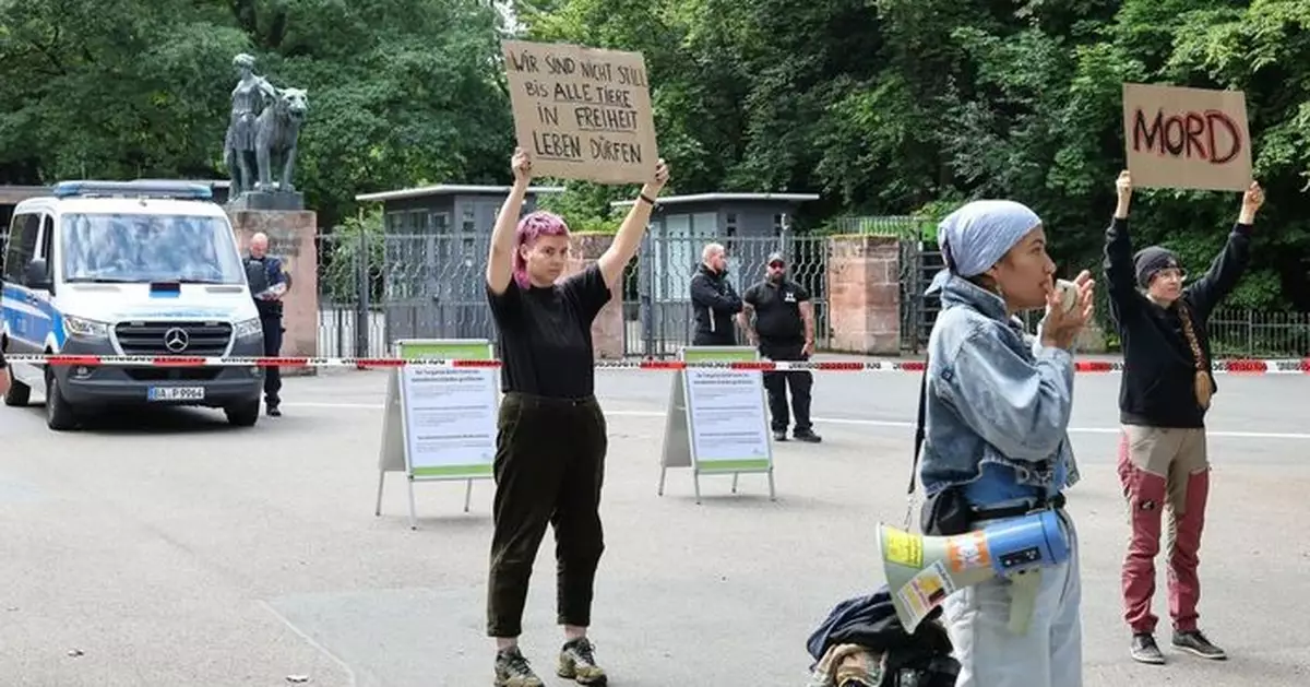 只因空間不足 德國動物園射殺12隻狒狒遭狠批或被刑事起訴