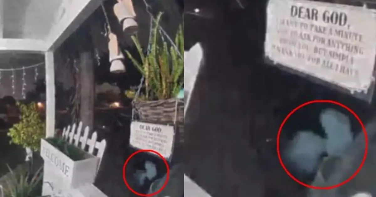 加州居民監控拍到疑似外星人片段 消失後即時傳來巨大噪音