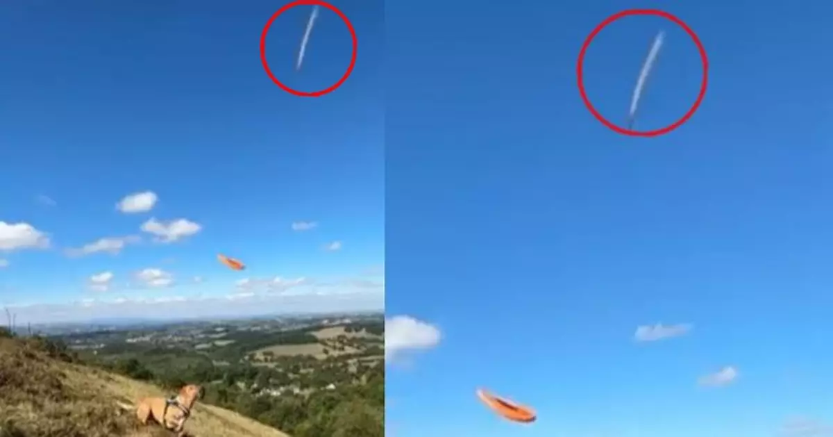 英男拍狗仔玩飛盤意外影到「高速滑落白影」惹UFO疑雲