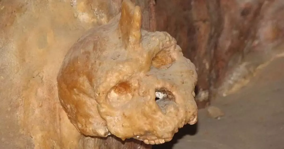 希臘30萬年前神秘頭骨揭或有「第三類人」存在