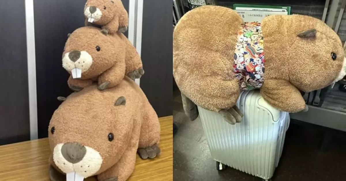 只想要二獎 日人水族館抽獎意外中頭獎扛回「巨型河狸公仔」引矚目