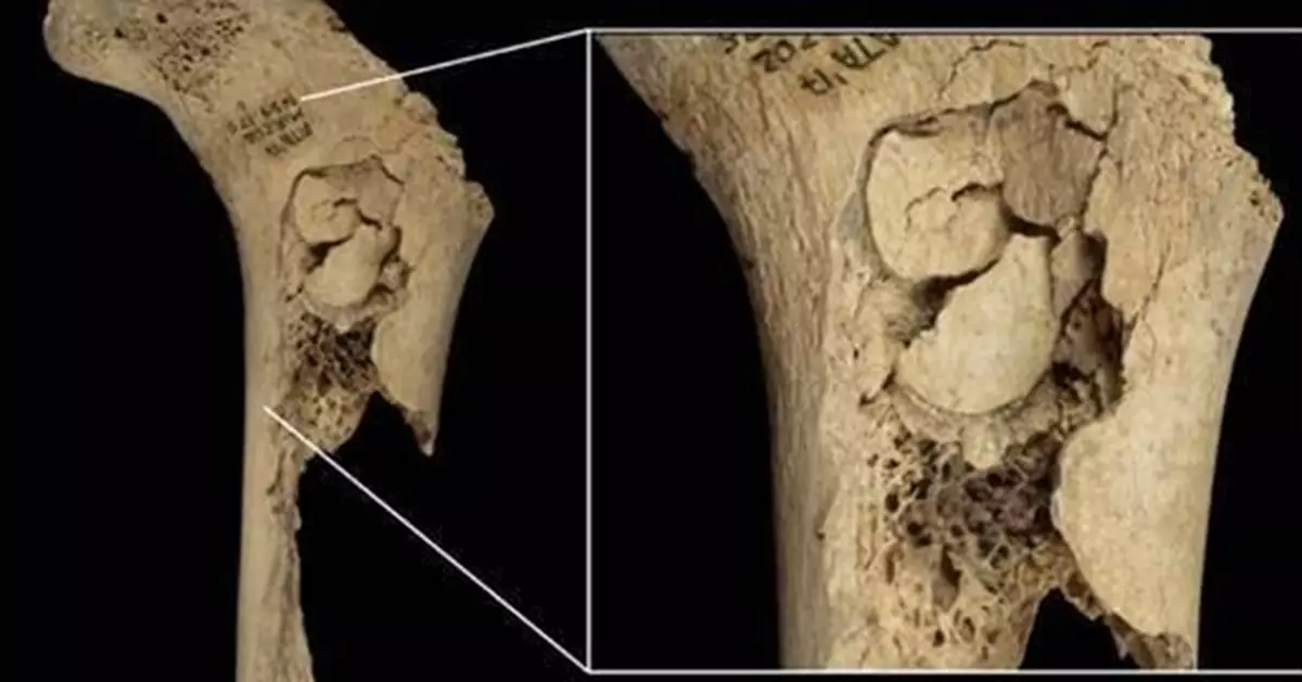 5700年前恐怖盛宴！西班牙洞穴驚現「烹人骨」 揭史前滅族食人儀式