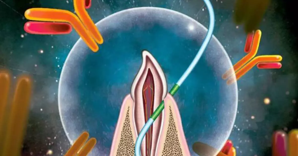 牙線或變疫苗神器！科學家證實：刷牙齦就能接種 抗體效果更勝打針