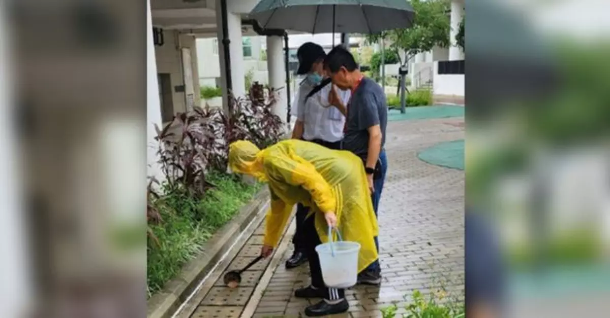 今年首宗基孔肯雅熱輸入個案居於安達邨　房署邨內加強滅蚊