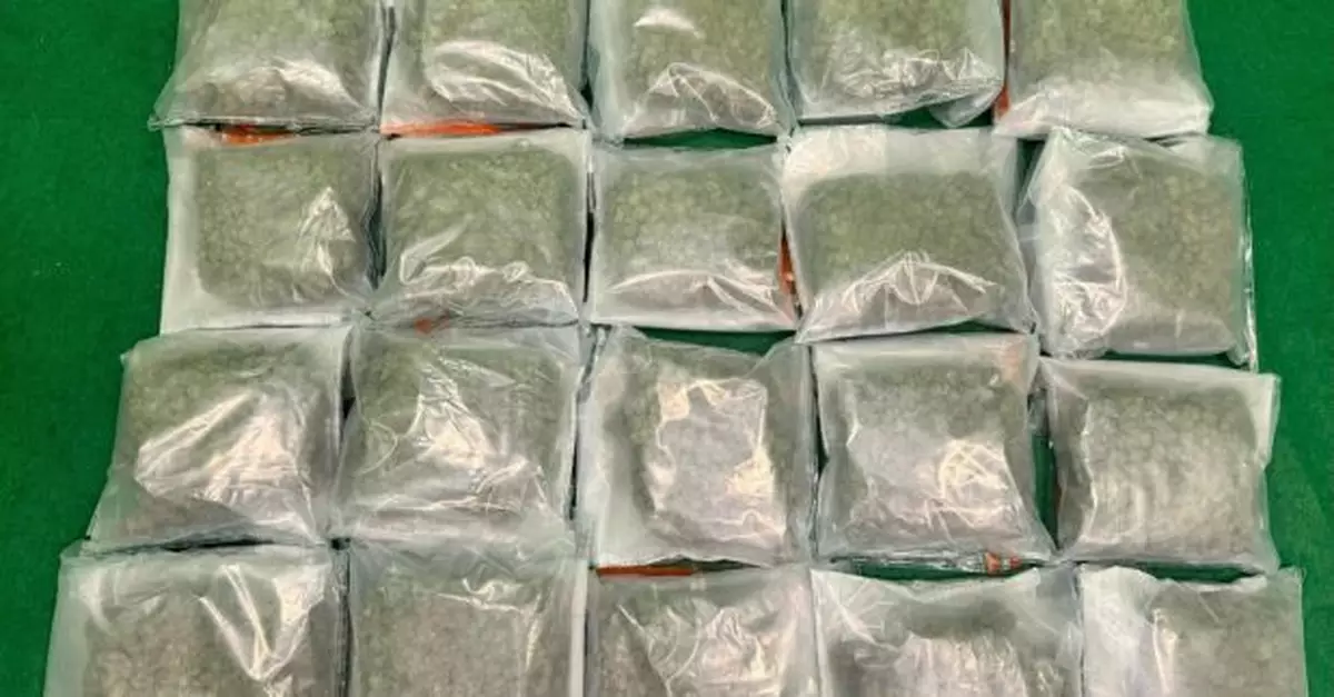 海關機場檢約20公斤懷疑大麻花約值4百萬　拘捕兩男子