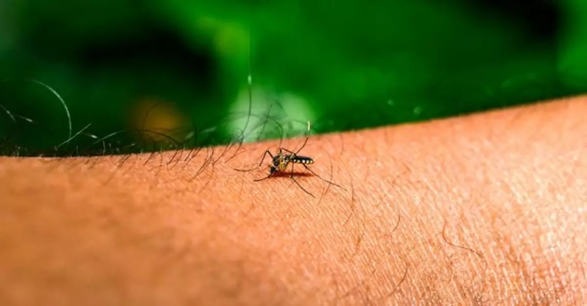 增3宗外地傳入登革熱個案　病人潛伏期曾到柬埔寨、菲律賓及泰國