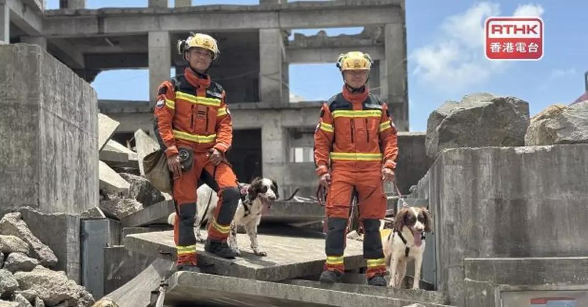 消防處兩隻搜救犬參與海外災區救援 領犬員稱加深默契成好拍檔