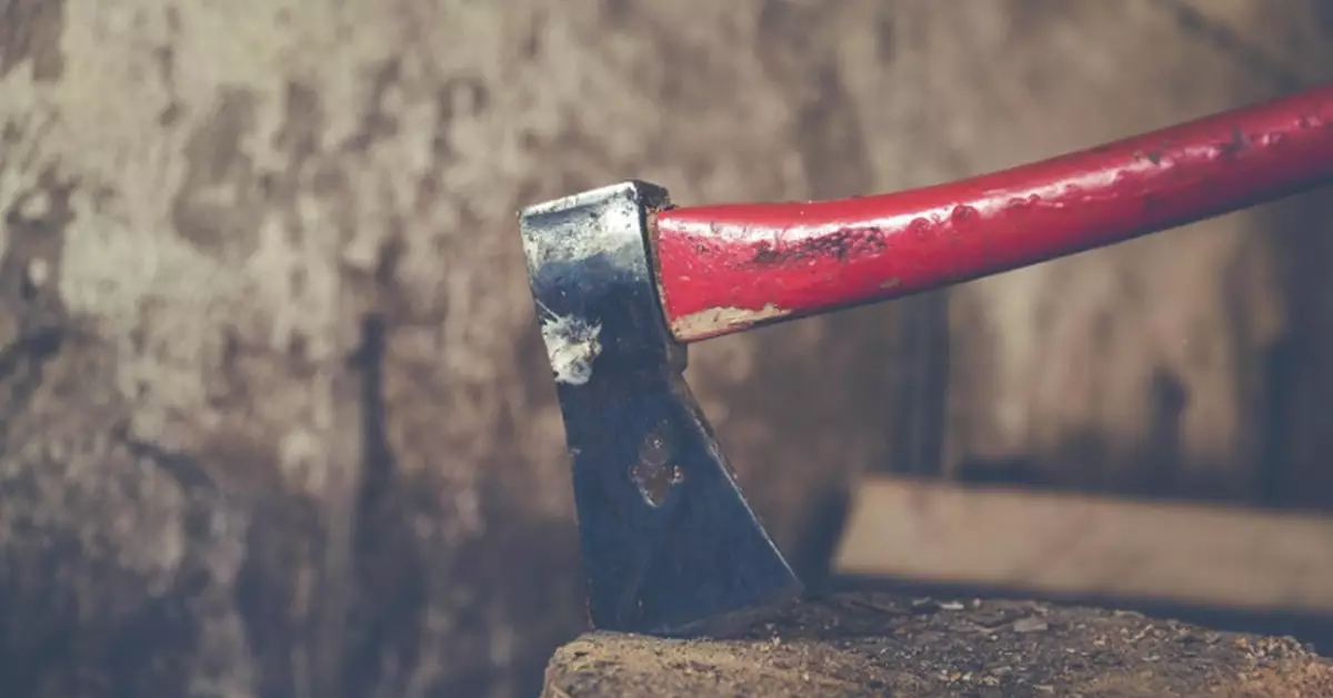 清晨持斧頭猛劈熟睡男友致重傷 美國女落網露詭異笑容令人毛骨悚然