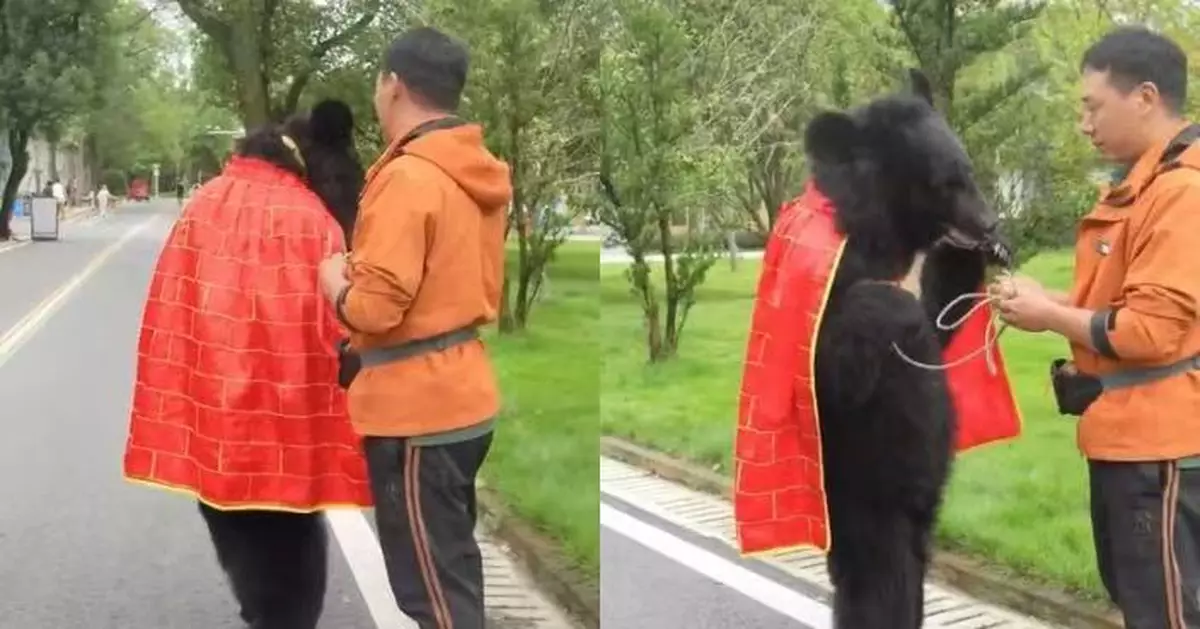 雙腿挺直似「人著熊裝」 安徽動物園黑熊披袈裟直立行走 園方竟話係真熊！