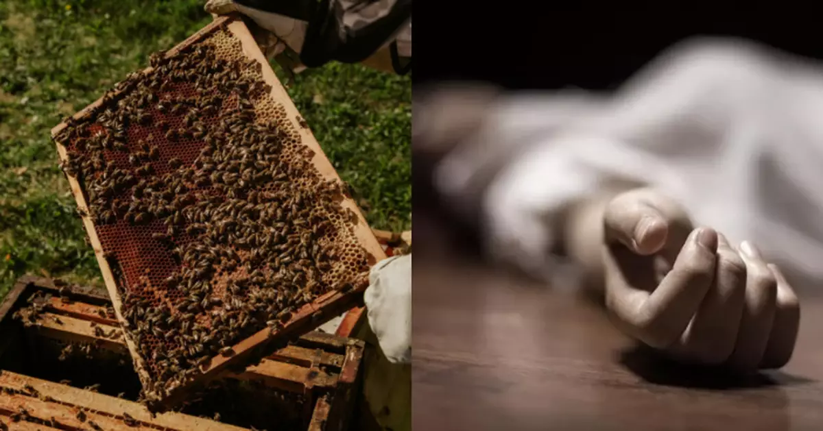 到友人家幫採蜜 愛爾蘭護理師遭逾萬隻蜜蜂鑽防護服蟄咬喪命