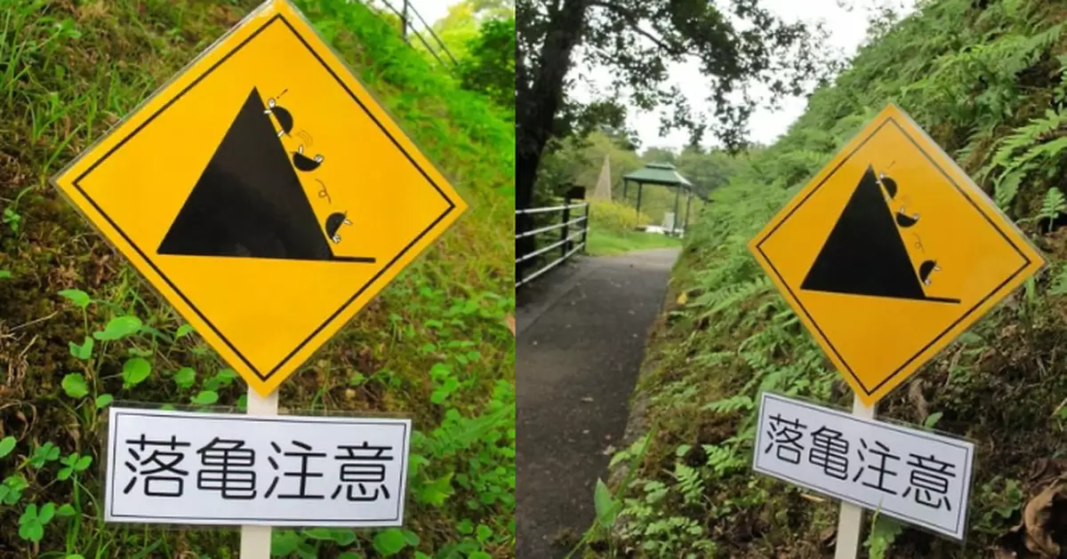 石龜愛抄捷徑滾落山坡 日植物公園藉此設「落龜注意」趣味警示牌