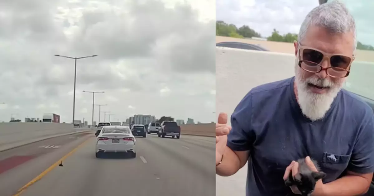 美小黑貓穿梭公路車陣幸毫發無傷 獲好心男停車施救暖心收編