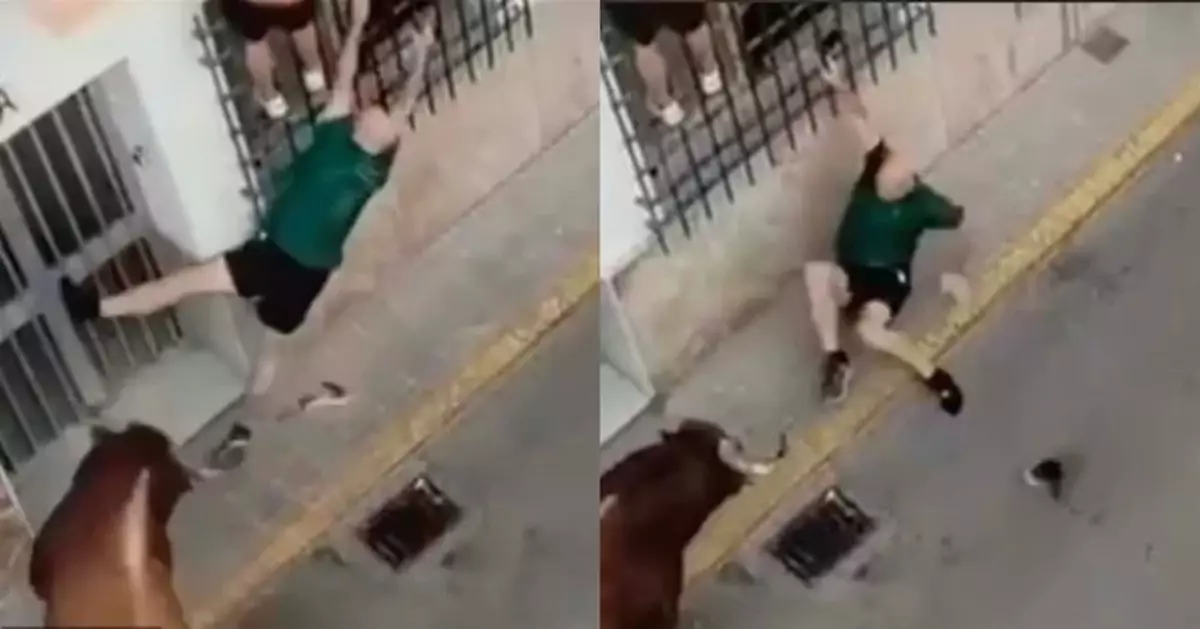 奔牛慶典釀命案 西班牙男攀鐵欄遭公牛勾腳拖落地刺死