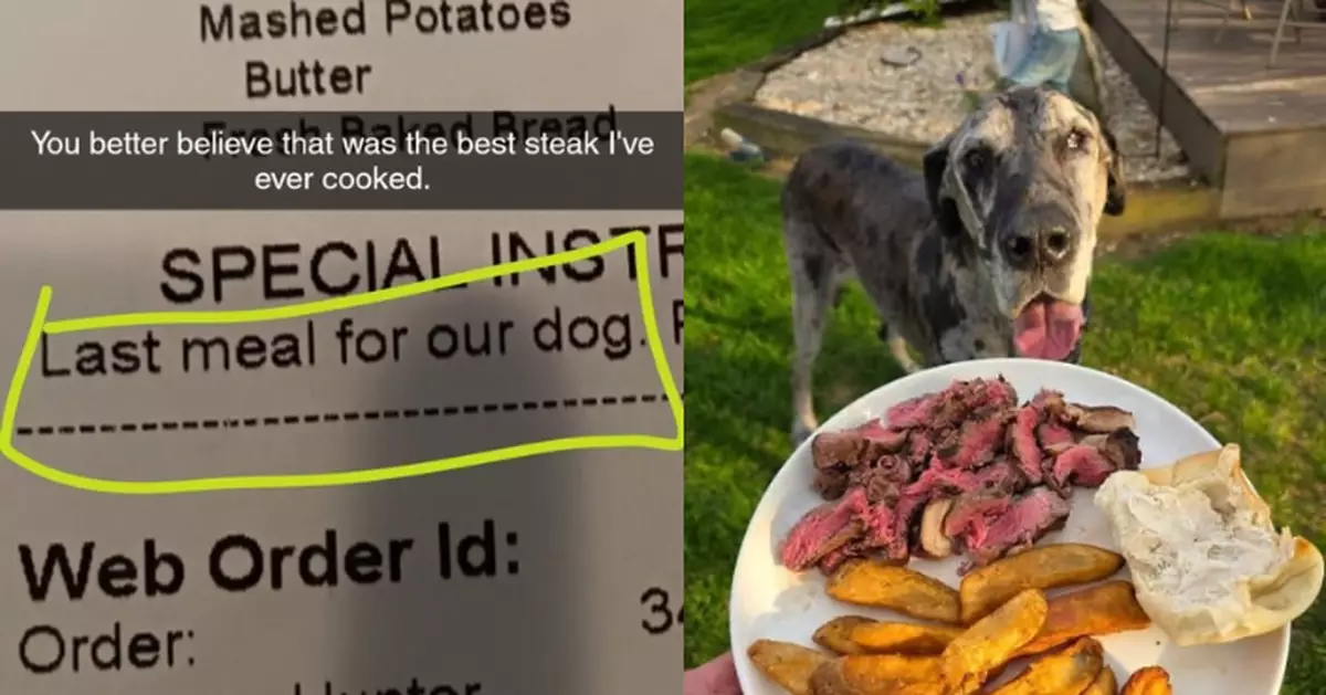 見訂單備註「給狗狗的最後一餐」 美餐廳員工合力製暖心牛扒助無憾離世