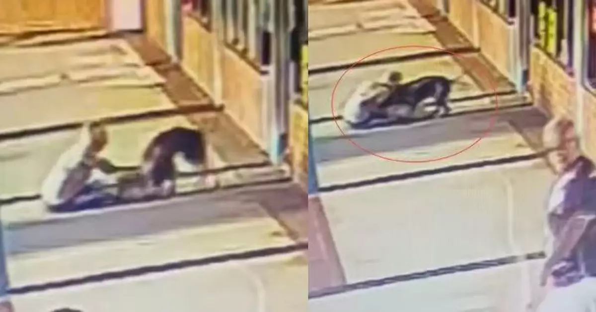 寵物犬散步突遇襲無人救 美7旬婦狠咬40KG比特犬後頸反擊迫鬆口