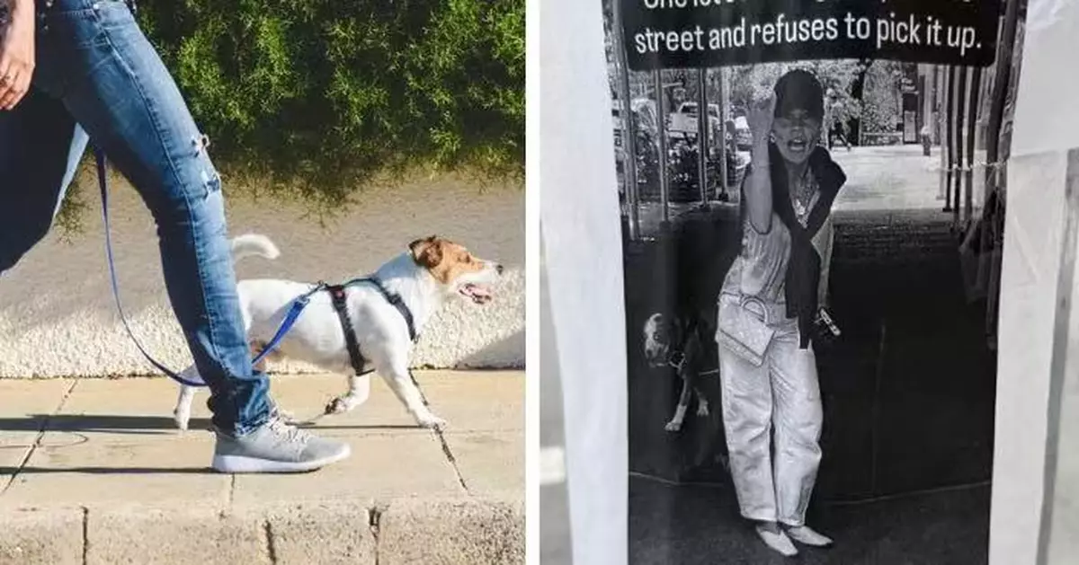 放任狗仔街頭排洩 美豪宅女飼主屢拒執狗屎 鄰居怒貼「海報」曝光樣貌