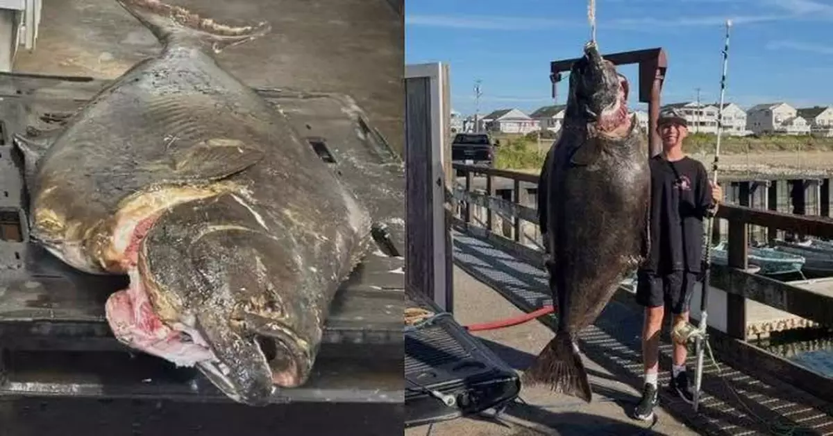 遊船挑戰釣鯊魚 美國13歲少年意外捕獲80KG大西洋比目魚有望破世界紀錄