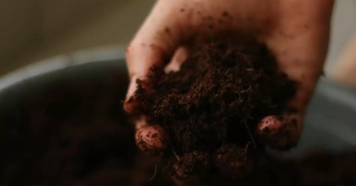 美紐澤西州推「人體堆肥」合法化 逝者遺體化作沃土推動綠色殯葬