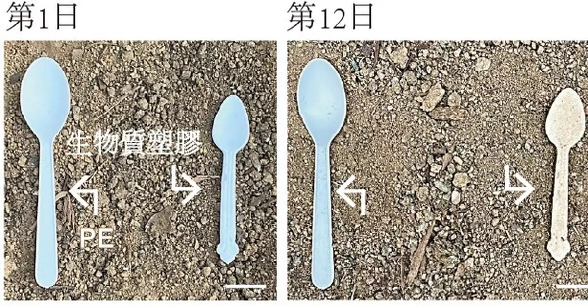嶺大研發新型環保生物塑膠 29天自然分解減污染
