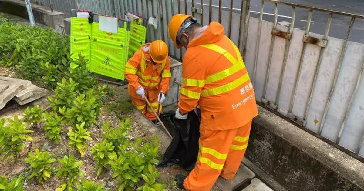 陳美寶稱運輸署路政署已就風暴作準備 謝展寰指若停電電力公司會盡快修復　